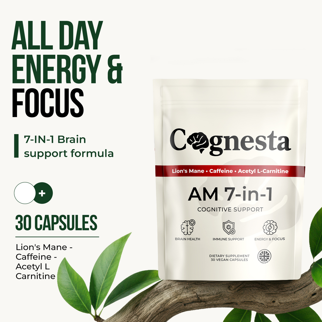 Cognesta | Our Story